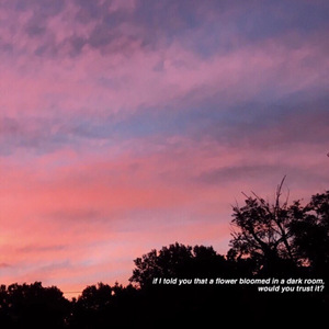 国产成人av大片
