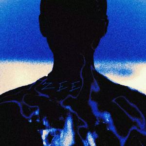 国产成人av大片
