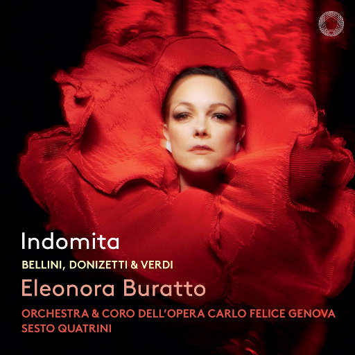 国产成人av大片
